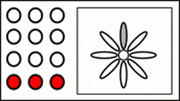 rodrigorootrj giphyupload loop it learning 100000 units GIF