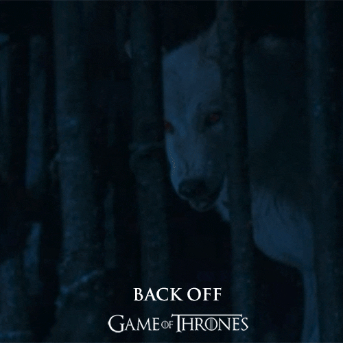 dire wolf hbo GIF by Game of Thrones