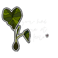 Kalo Sticker