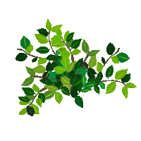 Plant Sticker