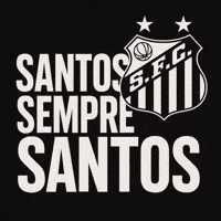 Seria A Santos Fc GIF