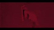 music video girls GIF by Prodigy Artists