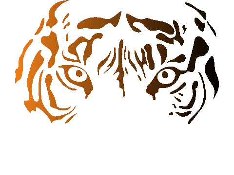Tiger Stay Wild Sticker by Kalisan Balloon