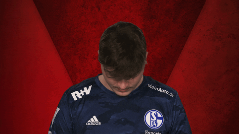 Schalke Vbl GIF by Bundesliga