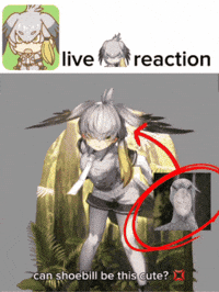 Tgpu GIF