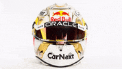 Ver Red Bull GIF by Oracle Red Bull Racing