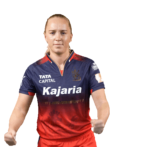 Happy Dance Sticker by Royal Challengers Bengaluru