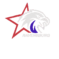 Del Ravensburg Sticker by HIGHspeeΔ