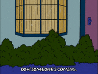 homer simpson GIF