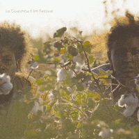Best Friends Omg GIF by La Guarimba Film Festival