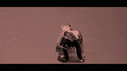 Let Them Know Jason Aalon Butler GIF by FEVER 333