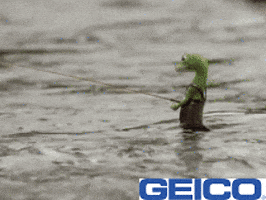 Fish Fishing GIF by GEICO