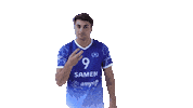 Sport Team Sticker by Amysoft Lycurgus