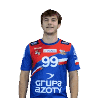 Handball Pgnigsuperliga Sticker by KS Azoty-Puławy S.A.