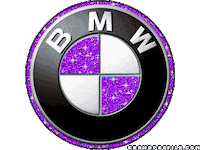 car logo STICKER