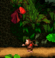 1jps gaming 90s snes dk GIF