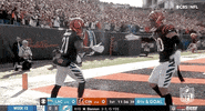 Cincinnati Bengals Football GIF by NFL