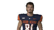 Its Good Football Sticker by Carson-Newman Athletics