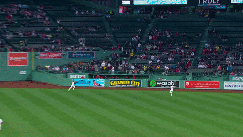 Red Sox Wow GIF by MLB