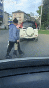 Dog And Owner Cross Street Holding Hands GIF by ViralHog
