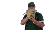 College Baseball Sticker by Hawaii Athletics