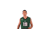 Ncaa Volleyball Sticker by Hawaii Athletics