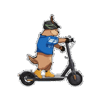 Encamino Vamos Sticker by Upsin