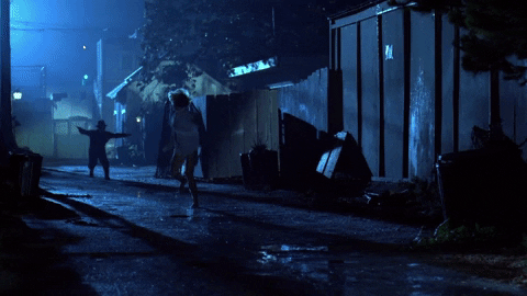 RandomUser1122 giphyupload freddy GIF
