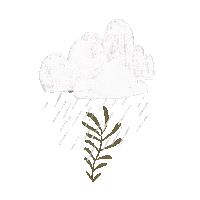 jpomierski illustration rain plants clouds Sticker