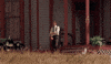 days of heaven terence malick GIF
