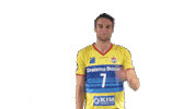 Volleyball Sticker by Draisma Dynamo
