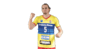 Volleyball Sticker by Draisma Dynamo