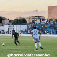 Bfc GIF