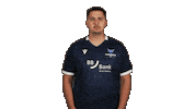 Karlsruher Sc Football Sticker by Bundesliga