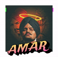 Moose Amar GIF