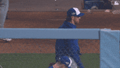 Blue Jays Mlb GIF by Toronto Blue Jays