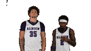 Ppp D3 Sticker by Albion College