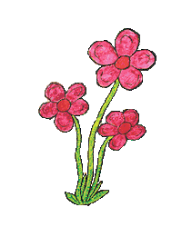 Fire Flower Sticker by Charlie Parr