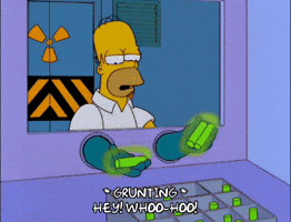 Season 10 Episode 21 GIF by The Simpsons