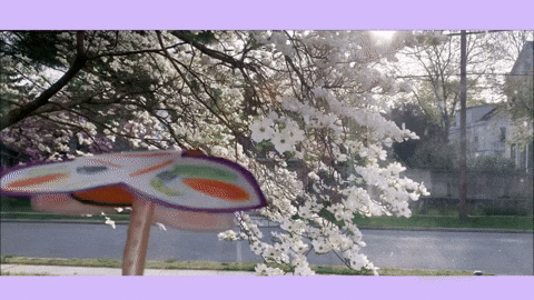 TableSettingIsMyLife giphyupload GIF