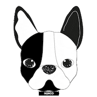 dog fashion Sticker by MIMCO