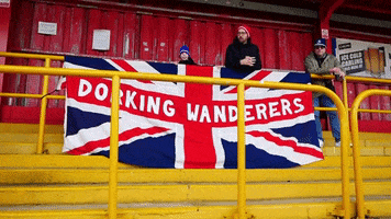 British Fans GIF by Dorking Wanderers Football Club