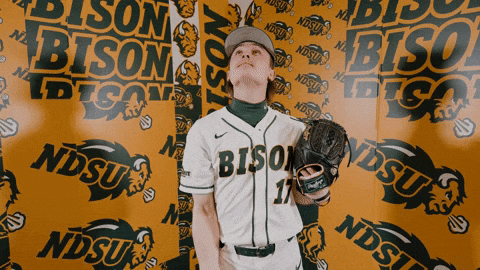 Baseball Bison GIF by NDSU Athletics