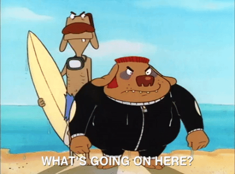 nicksplat GIF