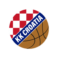 Basketball Croatia Sticker by emmi schweiz