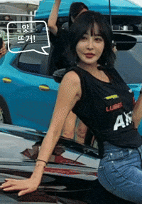 Model GIF