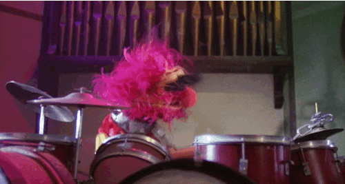 SkewsMe giphyupload animal drummer muppets GIF
