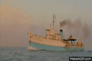 the life aquatic with steve zissou GIF