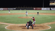 home run baseball GIF