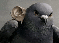 Angry Birds Ai GIF